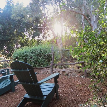 Bentwood Olive Grove Accommodation Greenough Camera foto