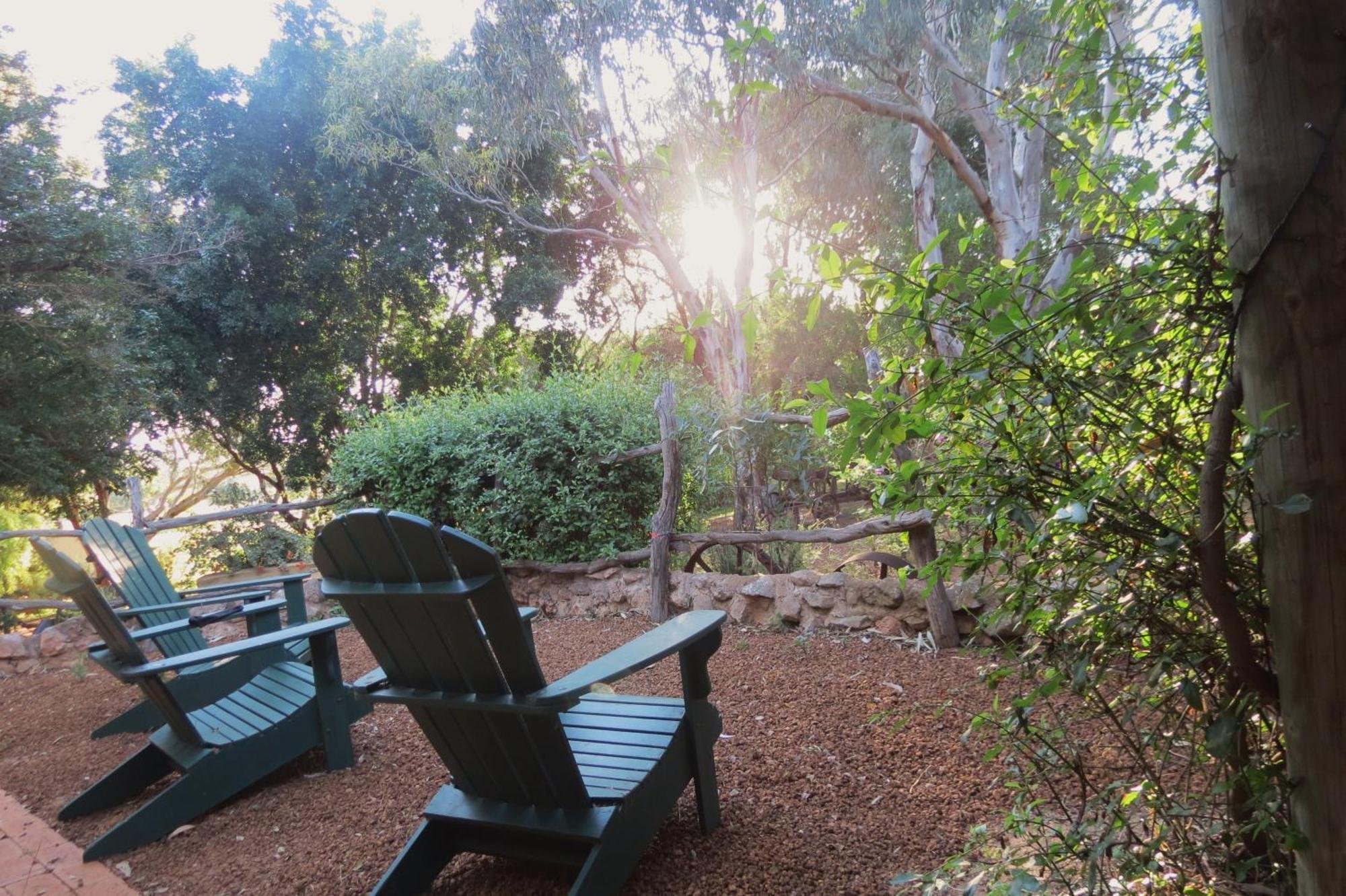Bentwood Olive Grove Accommodation Greenough Camera foto
